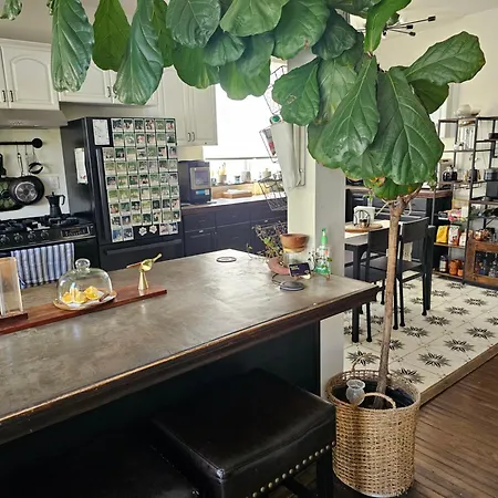 Tranquility At The House Of Alchemy Hollywood-3